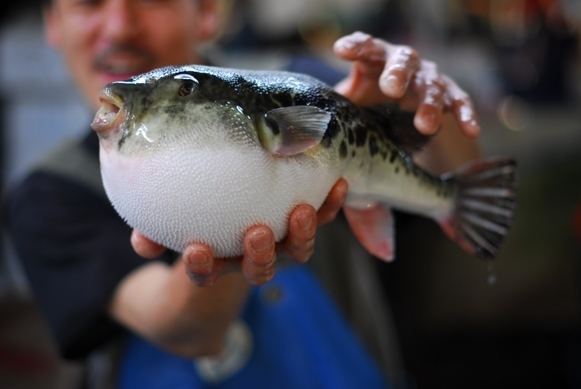 Fugu Fugu CookingBites Cooking Forum