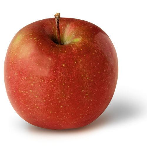 Fuji (apple) Apple Varieties of New York State Fuji NY Apple Association