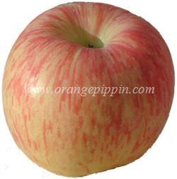Fuji (apple) Apple Fuji tasting notes identification reviews