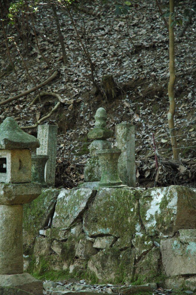 Fukubara Hirotoshi Panoramio Photo of The Grave of Fukubara Hirotoshi