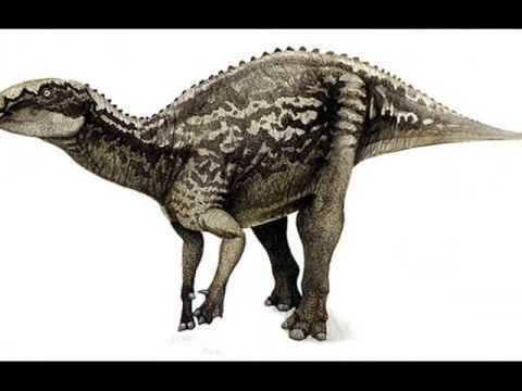 Fukuisaurus Tribute to Fukuisaurus YouTube