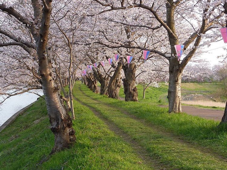 Fukuoka Dam