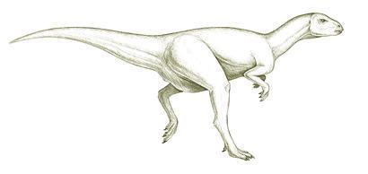 Fulgurotherium Fulgurotherium australe Dinosaurs