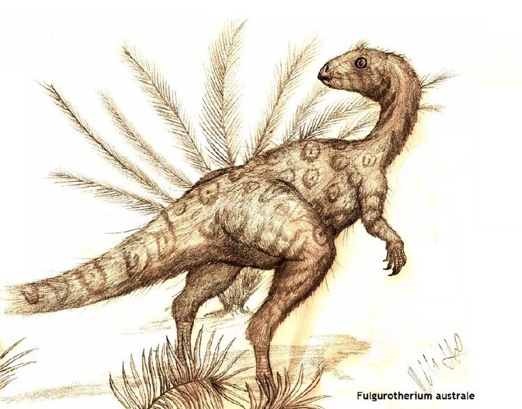 Fulgurotherium Fulgurotherium Pictures amp Facts The Dinosaur Database