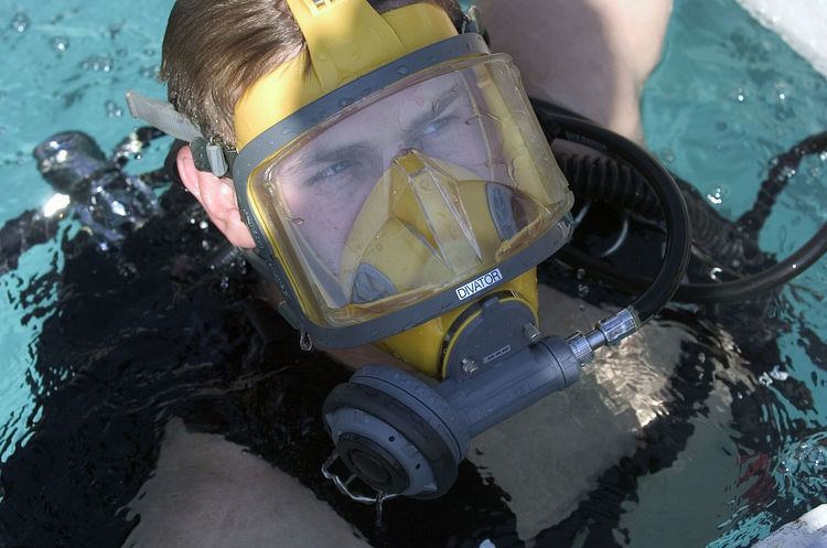 Full face diving mask