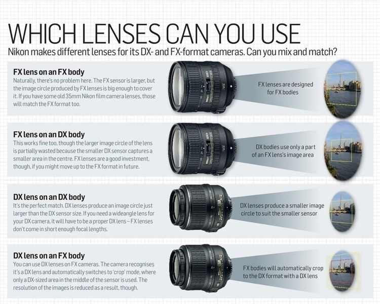 Full-frame digital SLR Should You Get a Full Frame or APSC sized sensor DSLR The Don39s