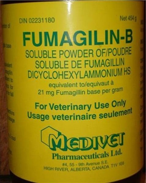 Fumagillin The Nosema Twins Part 4 Treatment Scientific Beekeeping