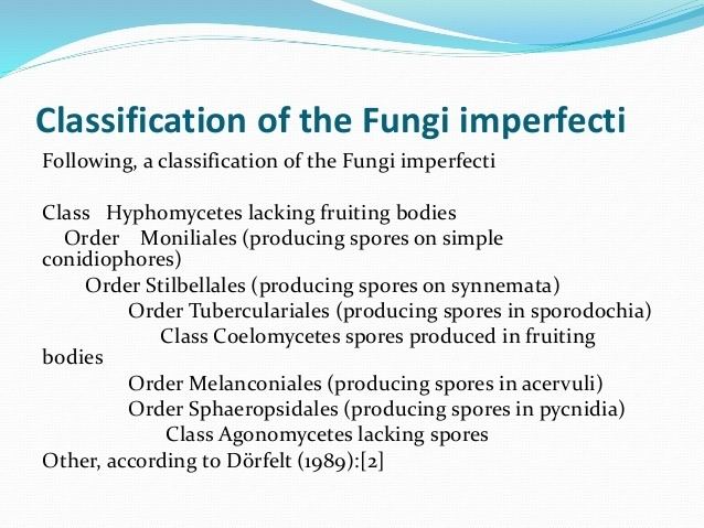 Classification of Fungi imperfecti