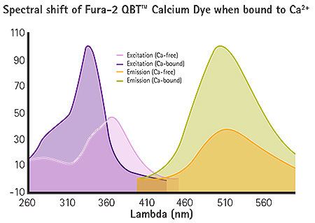 Fura-2 Fura2 QBT Calcium Kit Molecular Devices