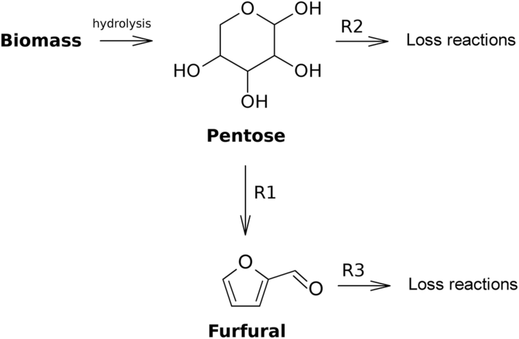 Furfural Mechanistic and kinetic aspects of pentose dehydration towards