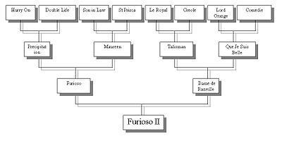 Furioso II httpsuploadwikimediaorgwikipediaenthumb3