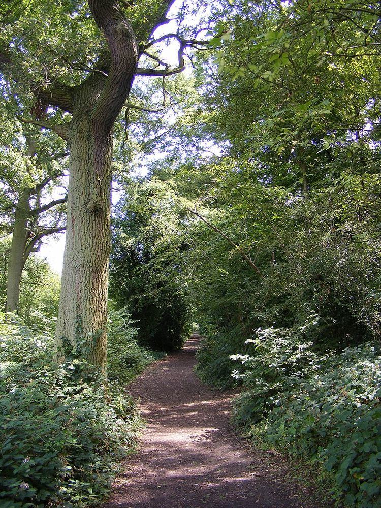 Furzefield Wood and Lower Halfpenny