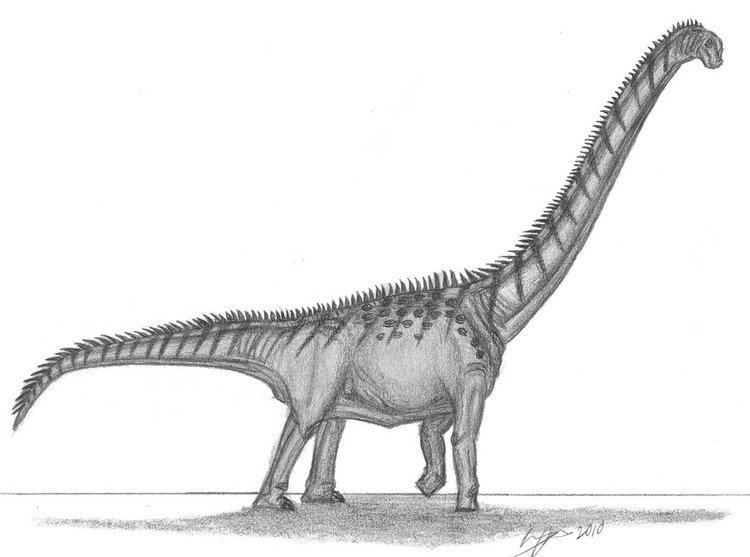 Futalognkosaurus Futalognkosaurus dukei by EmperorDinobot on DeviantArt