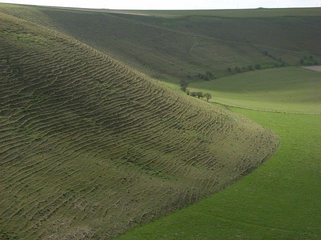 Fyfield Down Fyfield Down Andrew Smith Geograph Britain and Ireland