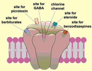 Schematic illustration of the GABAA receptor with its binding sites