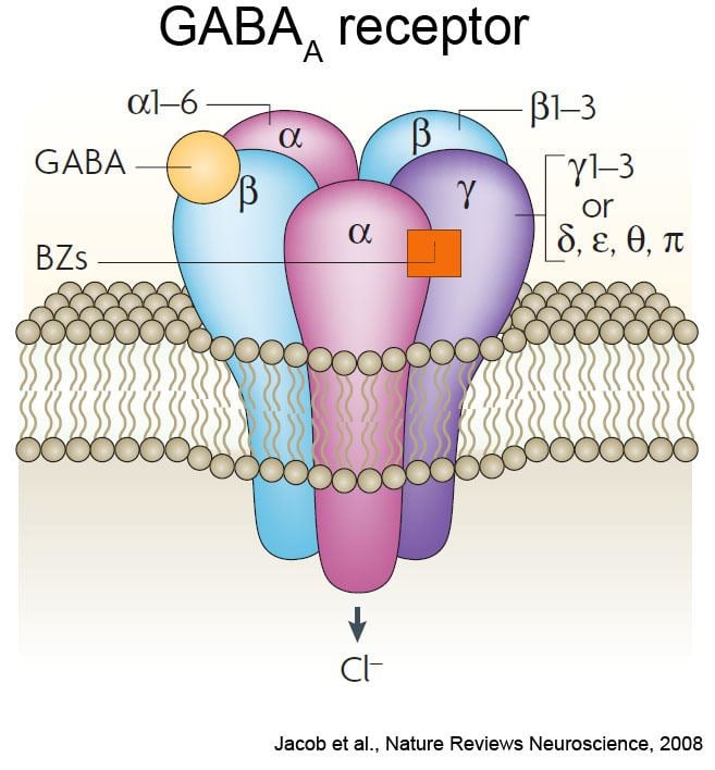Schematic diagram of a GABA A receptor composition, structure, and binding sites for GABA and BZs (benzodiazepines)
