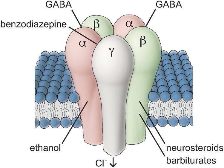 Schematic illustration of the GABAA receptor and its associated binding sites