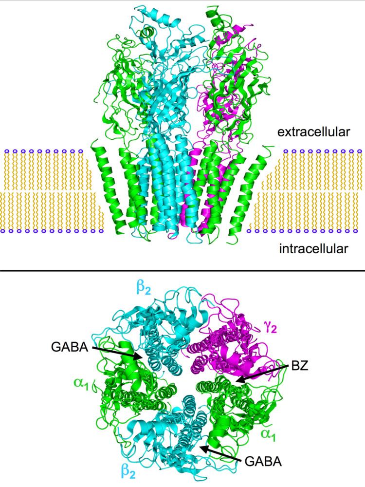 GABAA receptor