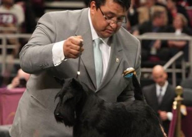 Gabriel Rangel hola arkansas Handler Gabriel Rangel favorite to win National Dog