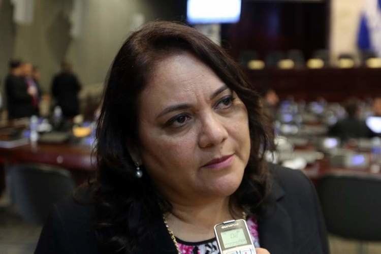 Gabriela Nuñez Gabriela Nez nueva jefa de bancada del Partido Liberal Diario