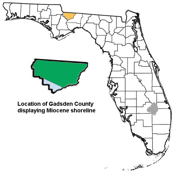 Gadsden County, Florida paleontological sites