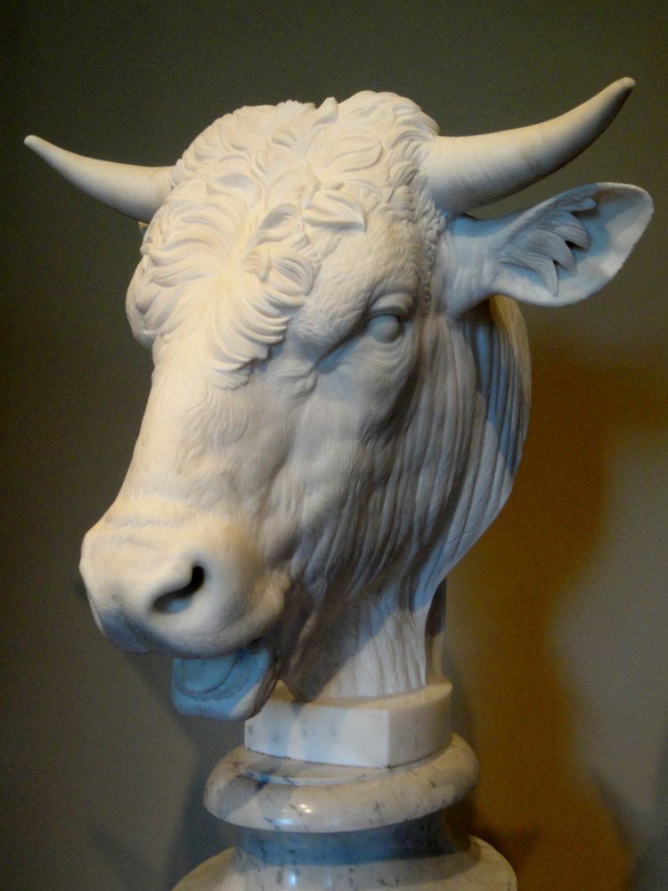 Gaetano Monti Gaetano Monti Head of a Bull Beautiful details within the strands