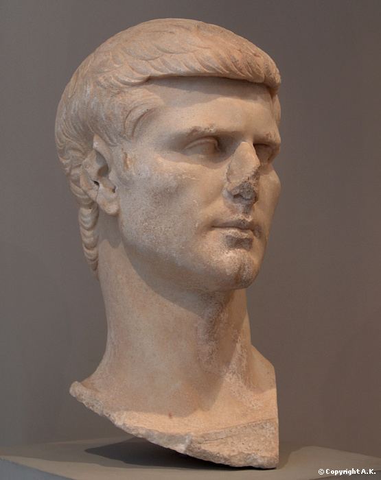 Gaius Asinius Pollio (consul 40 BC) httpsuploadwikimediaorgwikipediacommons66