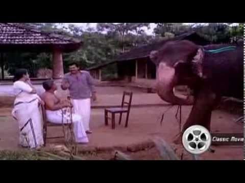 Gajakesariyogam Owner Training His Elephant Gajakesariyogam Malayalam Movie