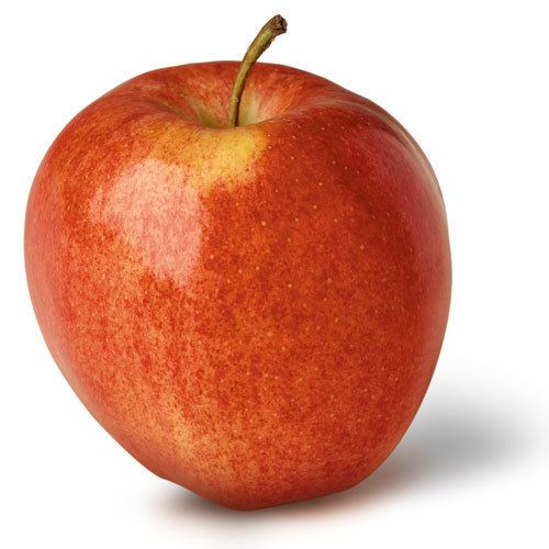 Gala (apple) Apple Varieties of New York State Gala NY Apple Association