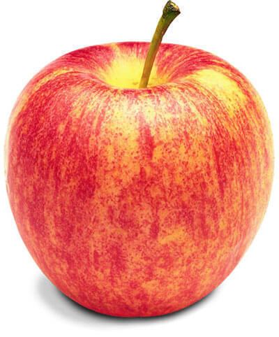 Gala (apple) Washington Apple Commission