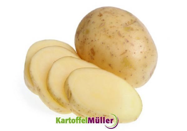 Gala (potato) httpswwwkartoffelmuellerdeimagesproductim