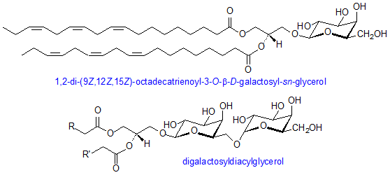 Galactolipid Galactosyldiacyglycerols AOCS Lipid Library