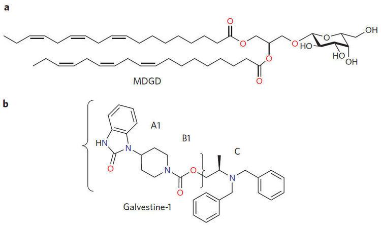 Galactolipid Plant biology Blocking galactolipid biosynthesis Nature Chemical
