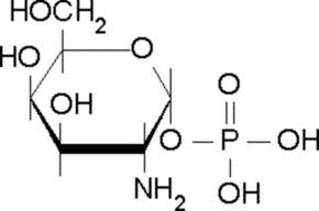 Galactosamine DGalactosamine 1phosphate 95 powder SigmaAldrich