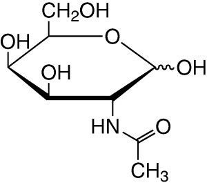 Galactosamine NAcetylDgalactosamine NAcetylDgalactosamine A AZ