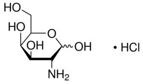 Galactosamine DGalactosamine hydrochloride 99 SigmaAldrich