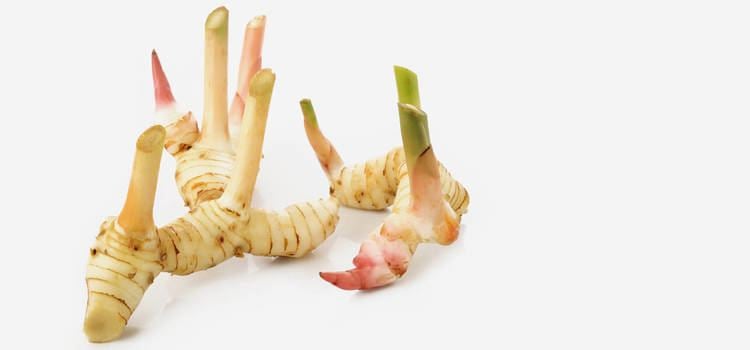 Galangal 15 Amazing Benefits Of Galangal For Skin Hair And Health