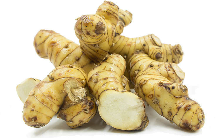 Galangal Galangal Root Information Recipes and Facts