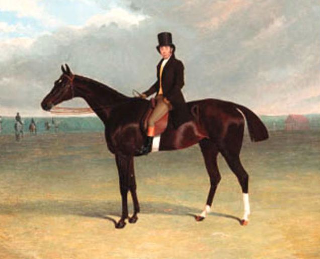 Galata (horse)