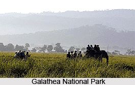 Galathea National Park wwwindianetzonecomphotosgallery771Galathea