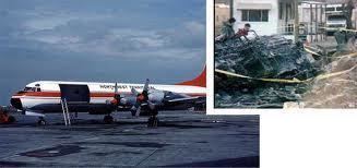 Galaxy Airlines Flight 203 Top 10 Sole Survivors in a Plane Crash Terrific Top 10