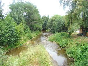 Galbena River (Strei) httpsuploadwikimediaorgwikipediacommonsthu