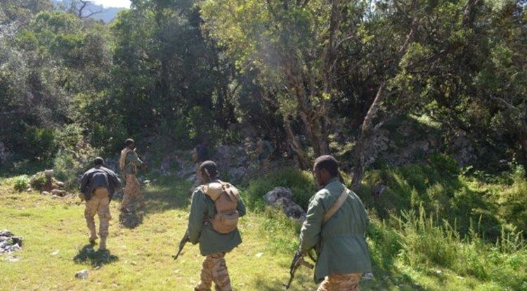 Galgala Antimilitant raids in central Somalia landmine attacks in Galgala