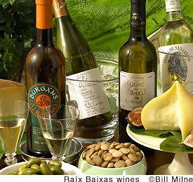 Galician wine Albarioquot The finest white wine of Spain Story by wine writer