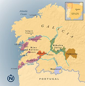 Galician wine White Wines of Galicia AlbarioTreixadura Godello amp More