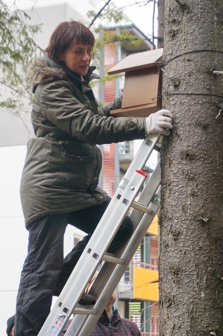 Galina Shirshina FileGalina Shirshina fixing nest box Subbotnik in saved forest