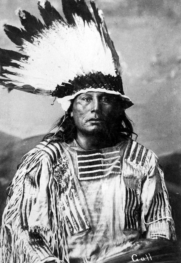 Gall (Native American leader) Chief Gall Hunkpapa Lakota Brul 18401894 Photo by