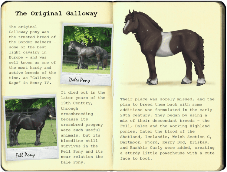 Galloway pony New Galloway Pony Breedbook 1 Origins by ofcowardiceandkings on