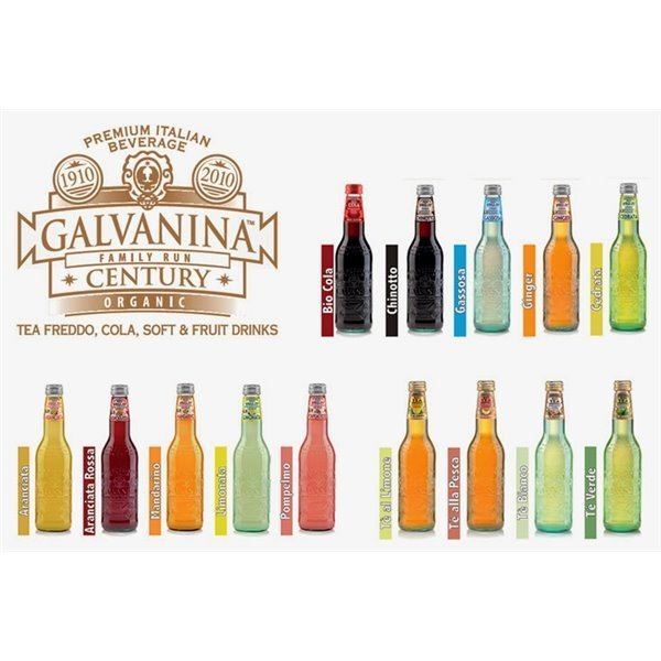 Galvanina GALVANINA BIO GINGER 12 x 355 ml Italien DrinkShop