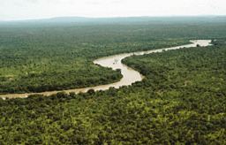 Gambia River httpsuploadwikimediaorgwikipediacommonsthu